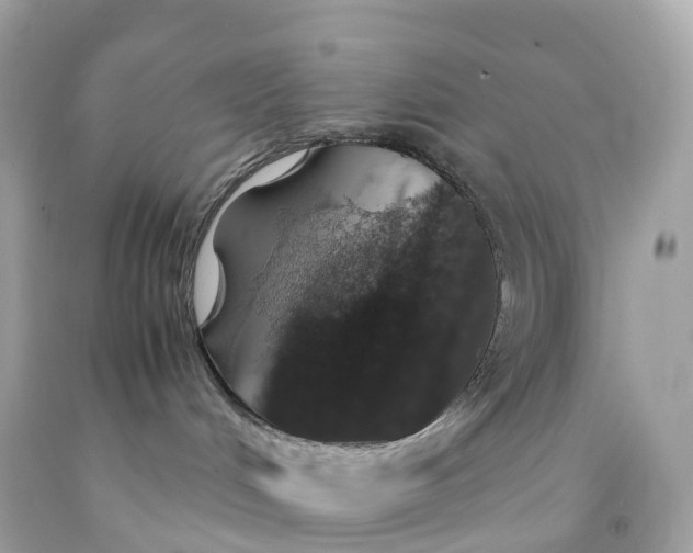X0000091490048200709061910