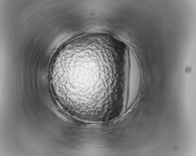 X0000091490050200709061910