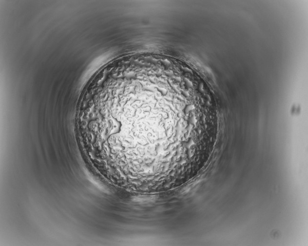 X0000091490051200709061910