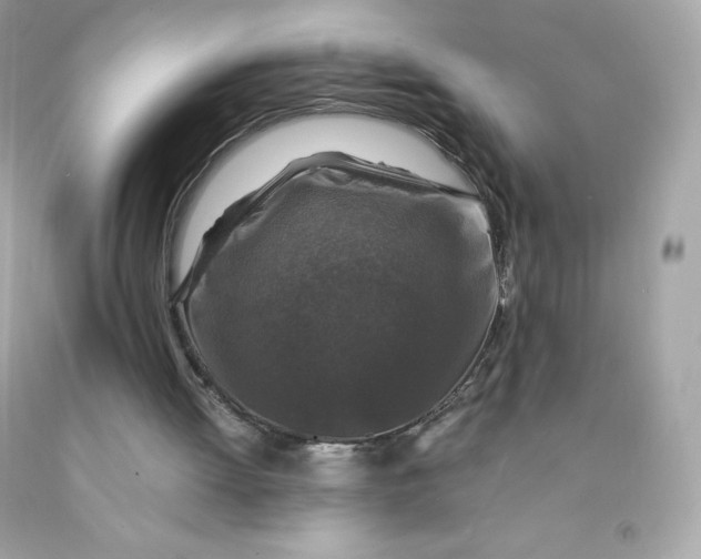 X0000091490052200709061910