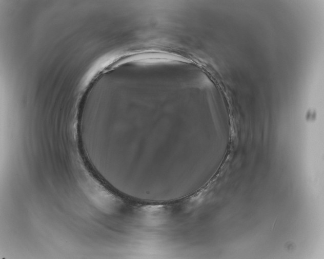 X0000091490054200709061910