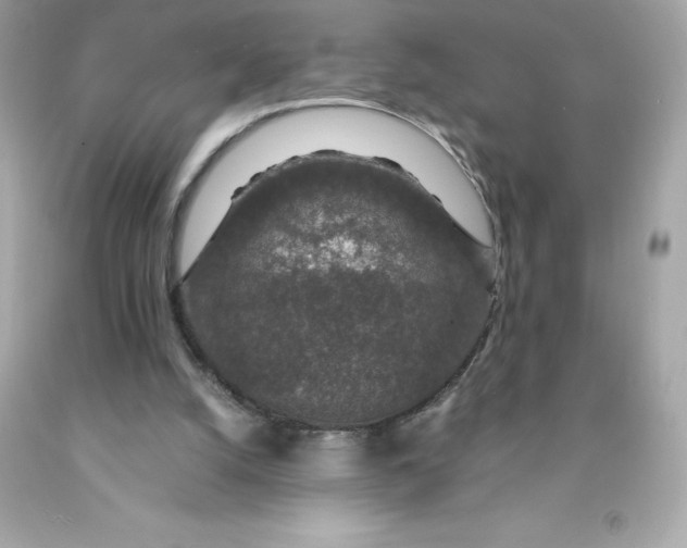X0000091490056200709061910
