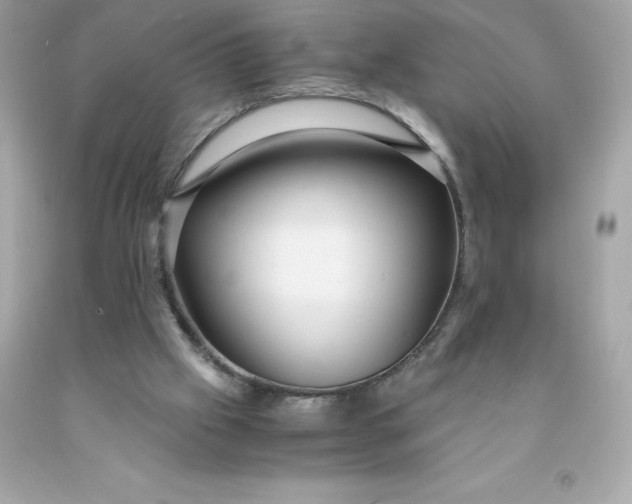 X0000091490057200709061910
