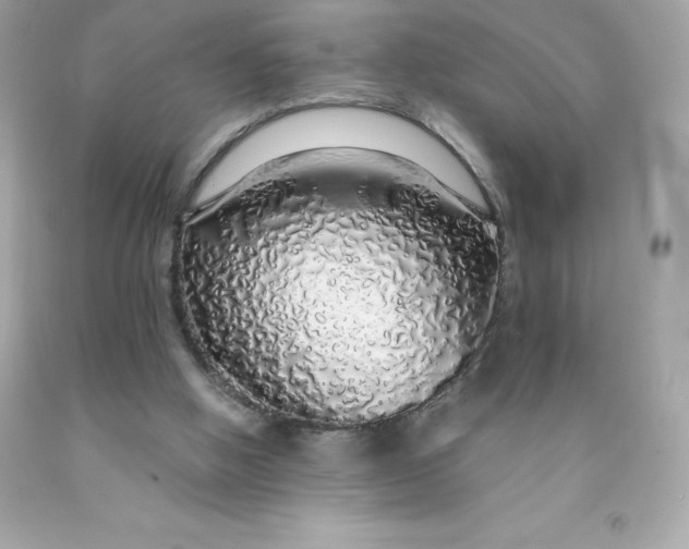 X0000091490058200709061910