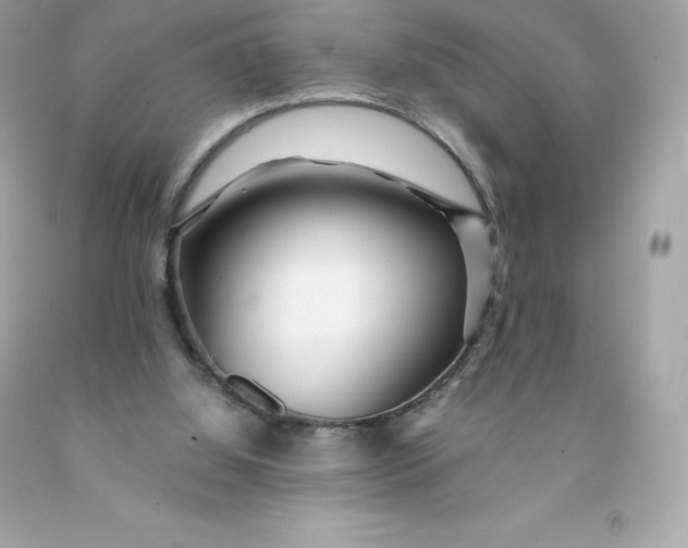 X0000091490060200709061910