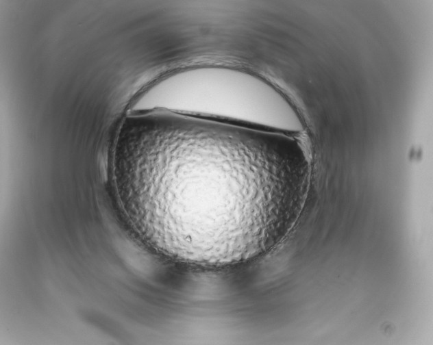X0000091490062200709061910