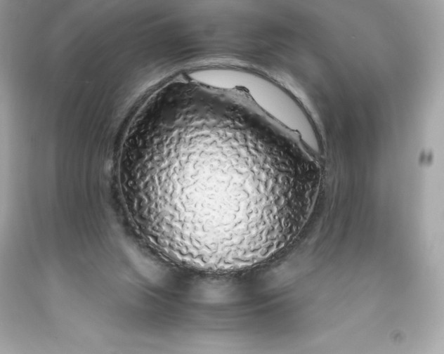 X0000091490063200709061910
