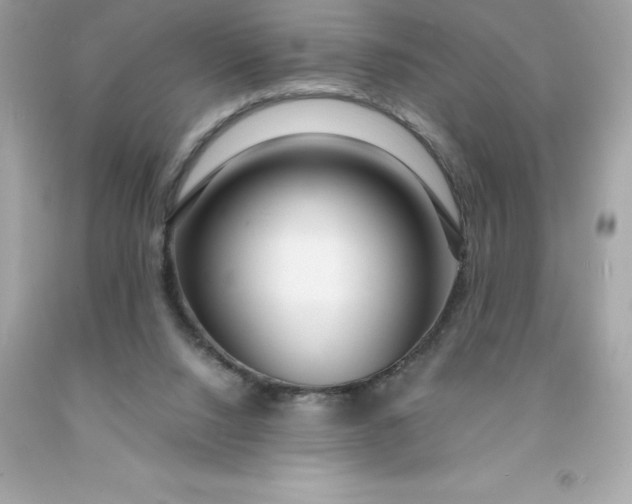 X0000091490064200709061910