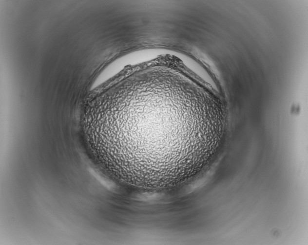 X0000091490065200709061910