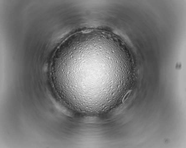 X0000091490066200709061910