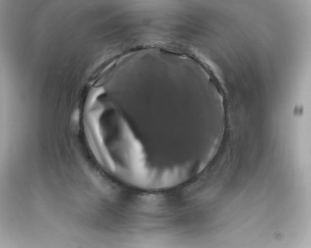 X0000091490067200709061910