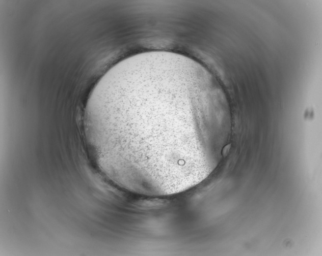 X0000091490069200709061910
