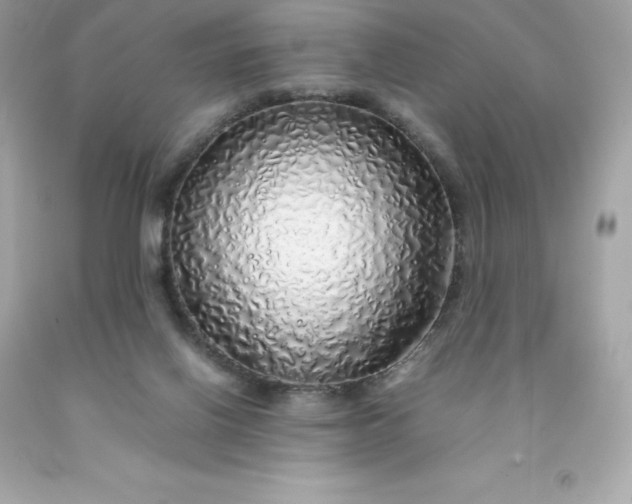 X0000091490070200709061910