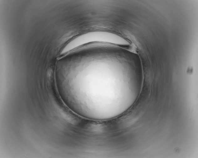 X0000091490071200709061910