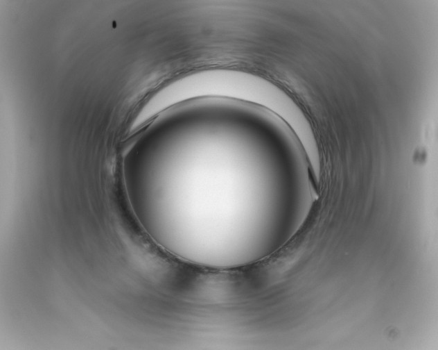 X0000091490072200709061910