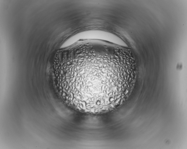 X0000091490073200709061910