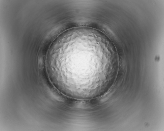 X0000091490074200709061910