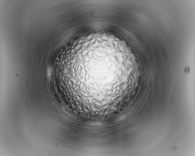X0000091490075200709061910