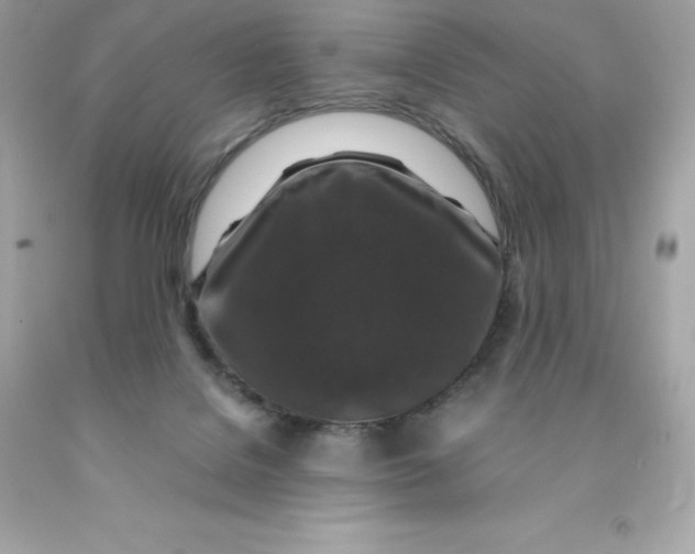 X0000091490076200709061910