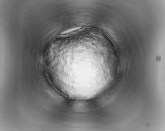 X0000091490077200709061910