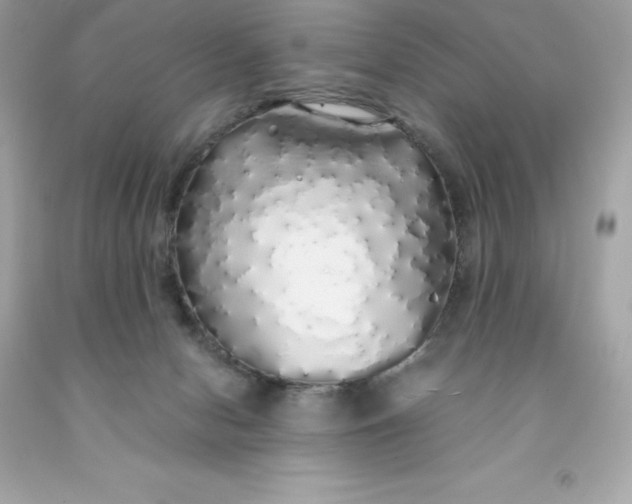 X0000091490078200709061910