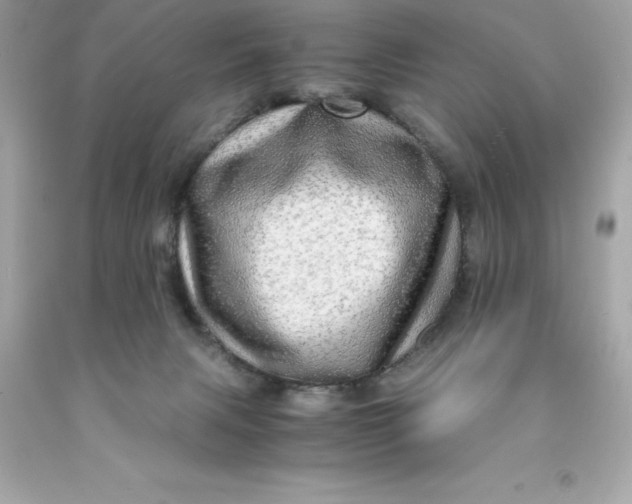 X0000091490079200709061910