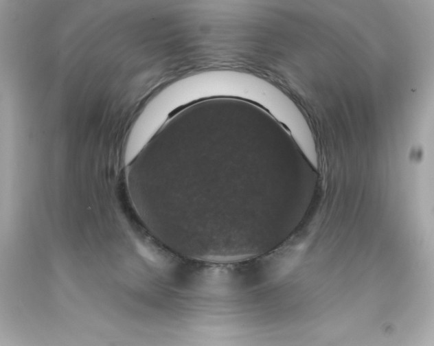X0000091490080200709061910