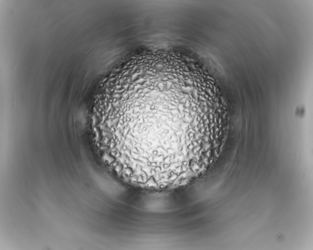 X0000091490081200709061910