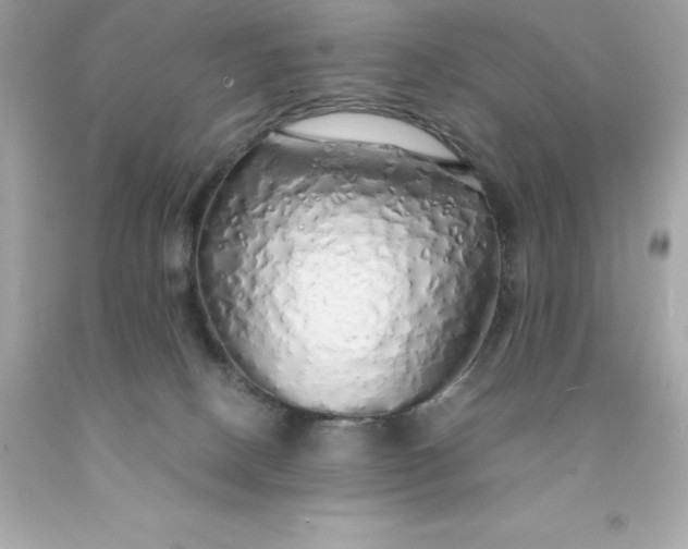 X0000091490082200709061910