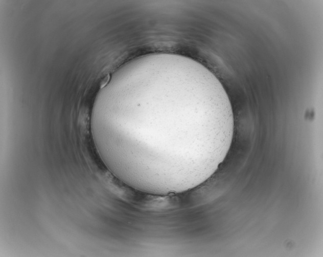 X0000091490083200709061910