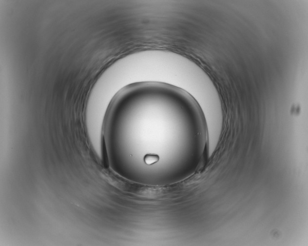 X0000091490084200709061910