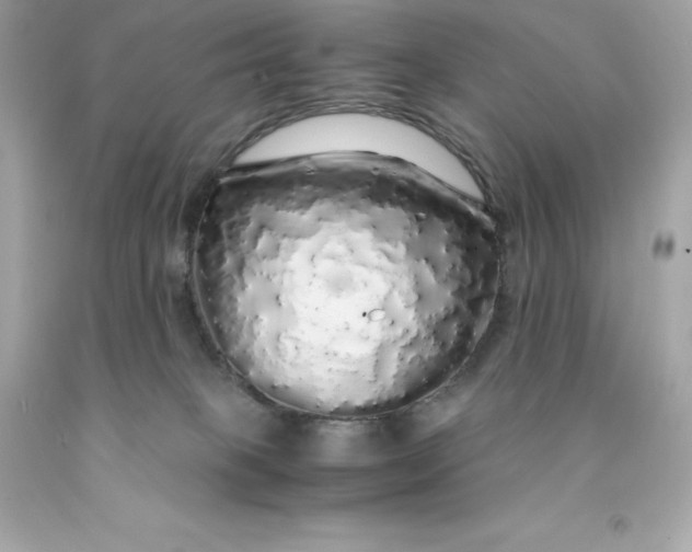 X0000091490085200709061910