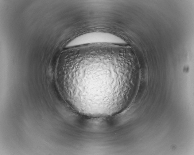X0000091490086200709061910