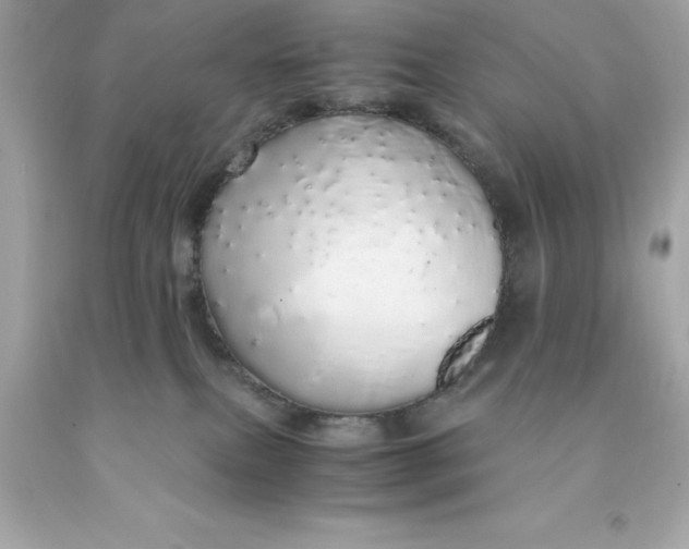 X0000091490087200709061910