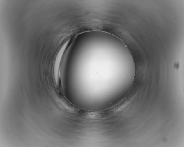 X0000091490088200709061910