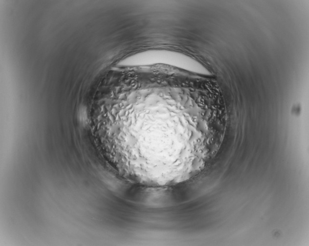 X0000091490089200709061910