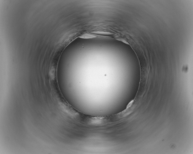 X0000091490090200709061910