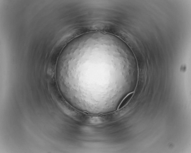 X0000091490091200709061910