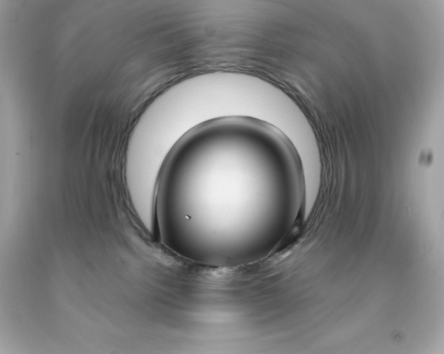 X0000091490092200709061910