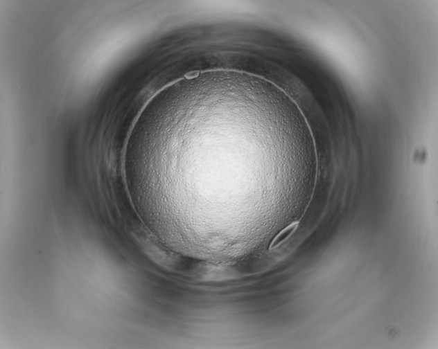 X0000091490093200709061910