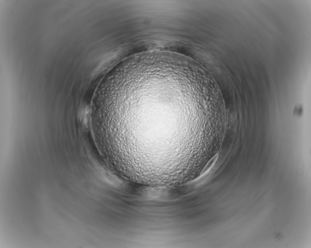 X0000091490094200709061910
