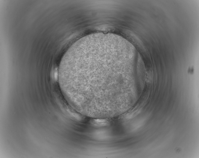 X0000091490095200709061910