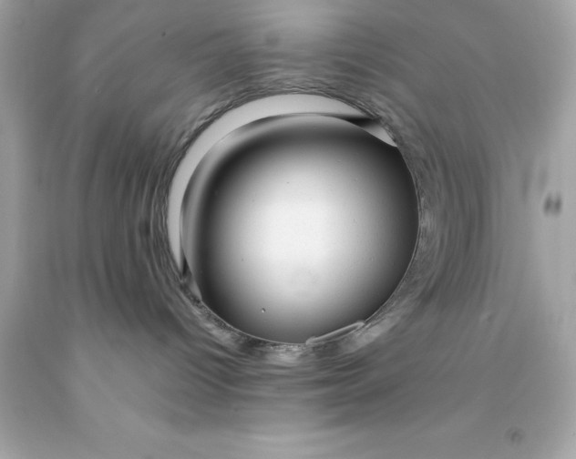X0000091490096200709061910