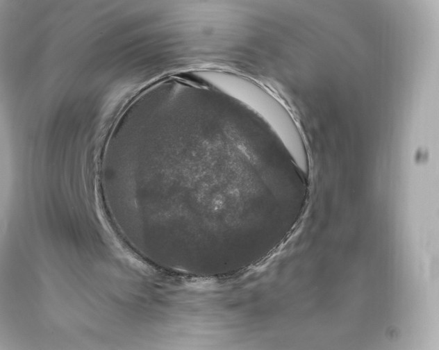 X0000091490097200709061910