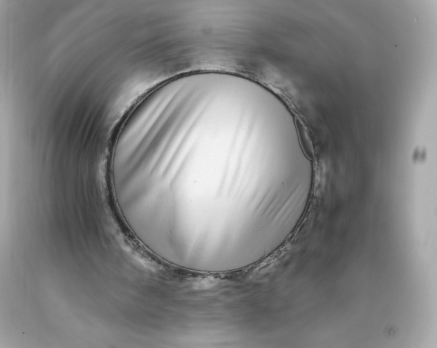 X0000091490098200709061910