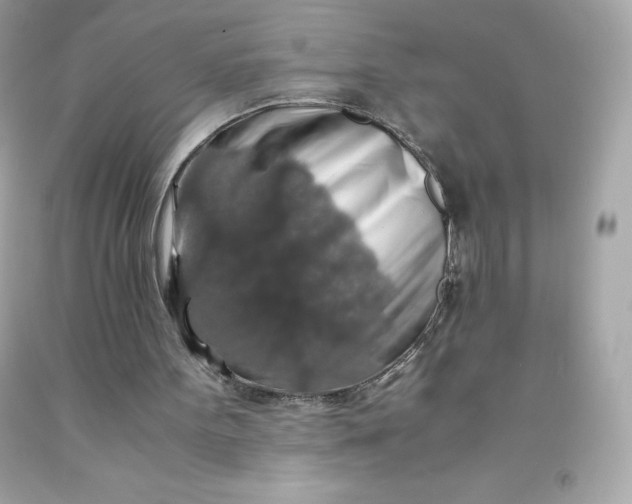 X0000091490099200709061910