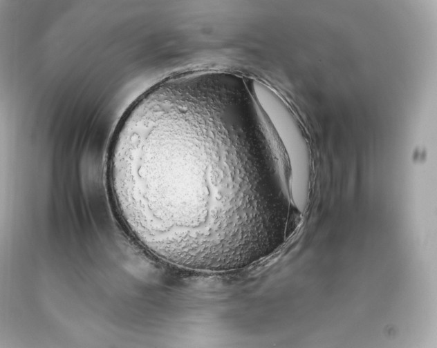 X0000091490100200709061910