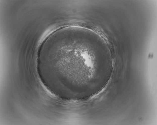 X0000091490101200709061910