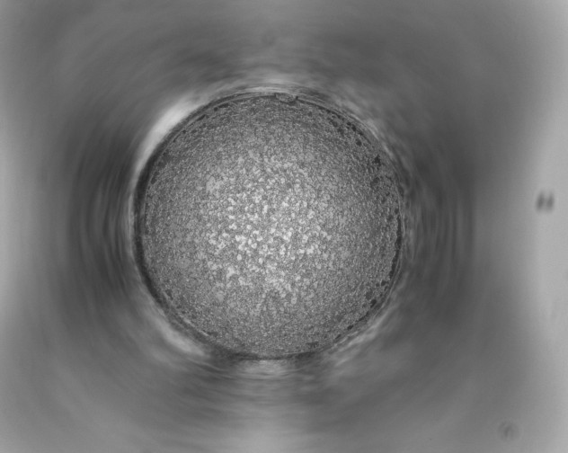 X0000091490102200709061910