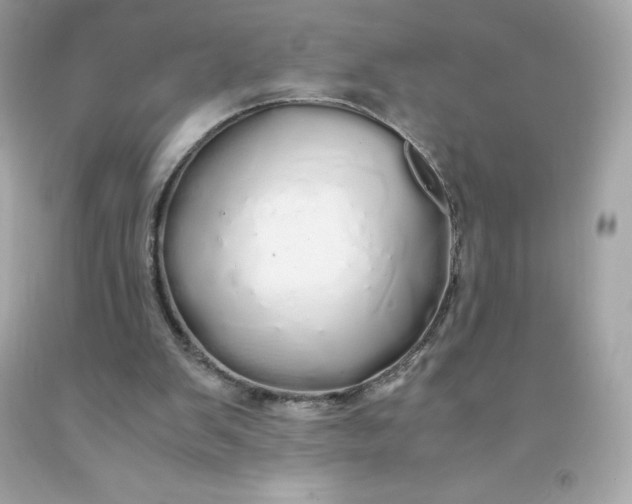 X0000091490103200709061910